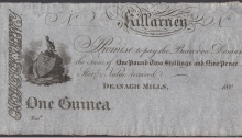 c. 1804 Deenagh Mills, Killarney, One Guinea (One pound, two shillings & ninepence)